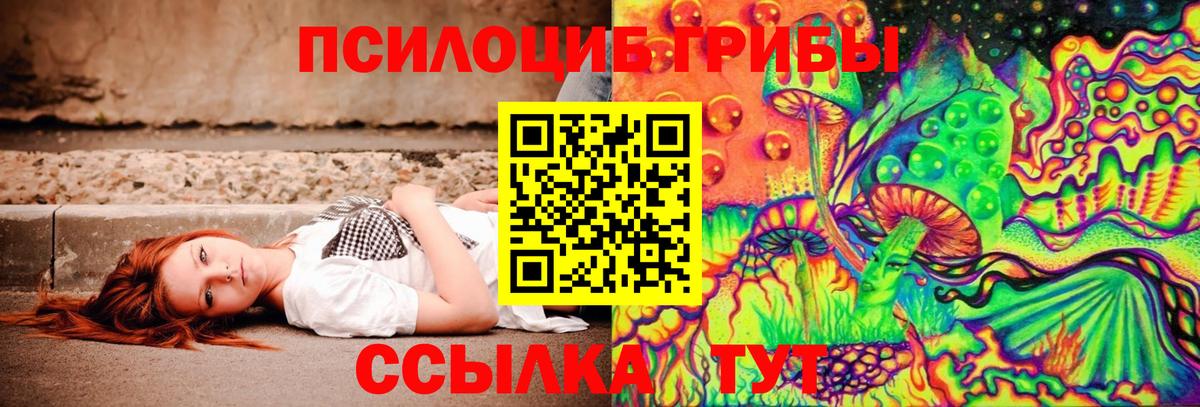 Галлюциногенные грибы мицелий  Вход с VPN  Сунжа 